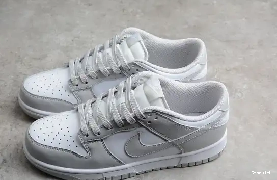 Low Dunk Nike Grey Fog DD1391-103 0610
